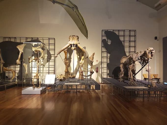 Explora el Museo Nacional de Ciencias Naturales 2