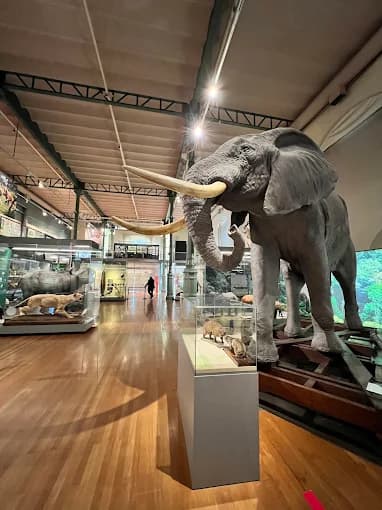 Explora el Museo Nacional de Ciencias Naturales 5
