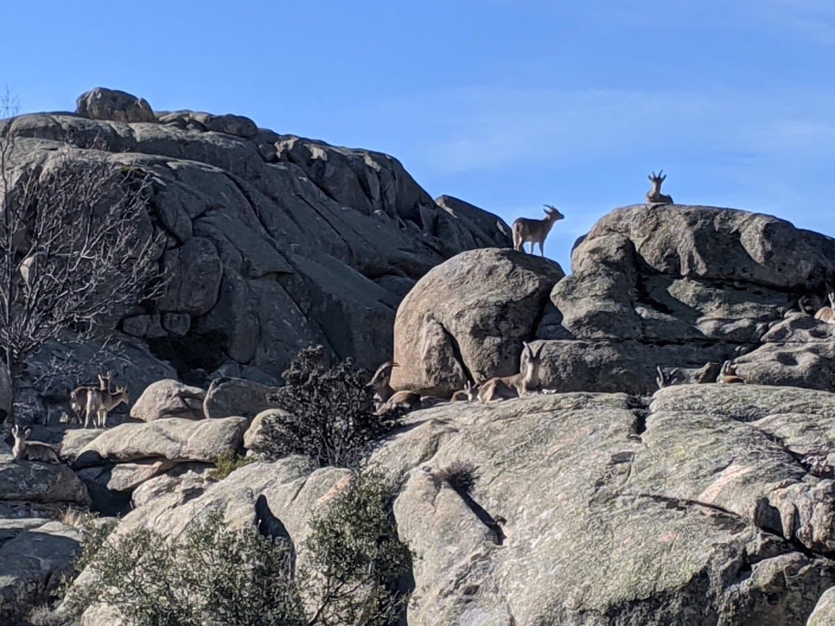 Caminata a El Yelmo en La Pedriza, Madrid 5