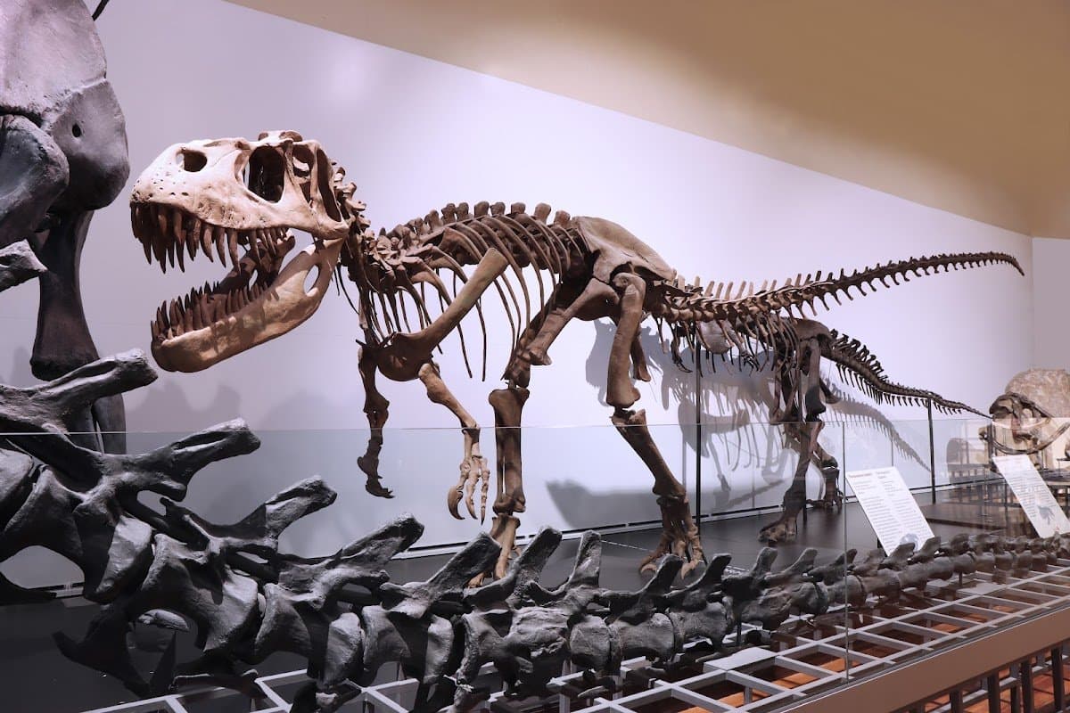 Explora el Museo Nacional de Ciencias Naturales 4