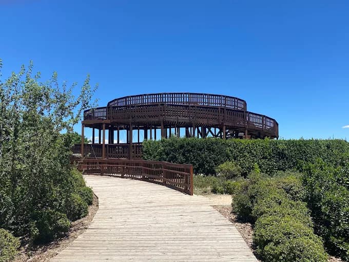 Parque Valdebebas: Naturaleza y vistas espectaculares en familia 2