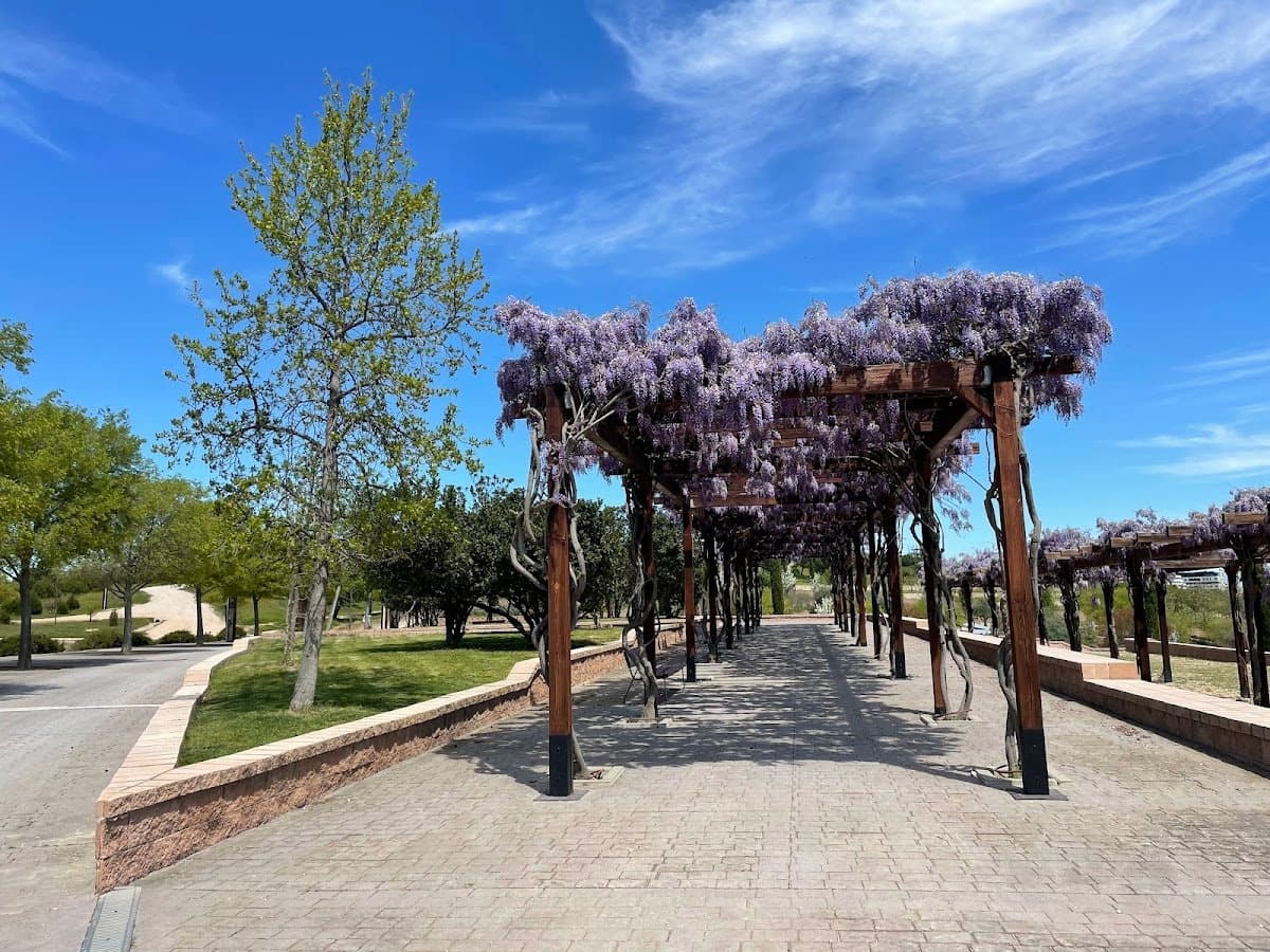 Parque Valdebebas: Naturaleza y vistas espectaculares en familia 3