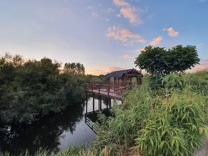 Parque Valdebebas: Naturaleza y vistas espectaculares en familia 5