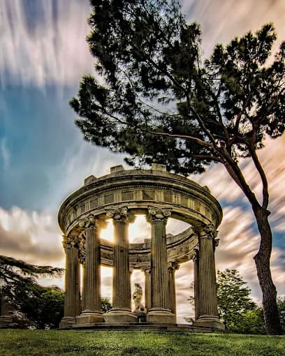 Paseo Sereno en el Parque El Capricho: Pavos Reales