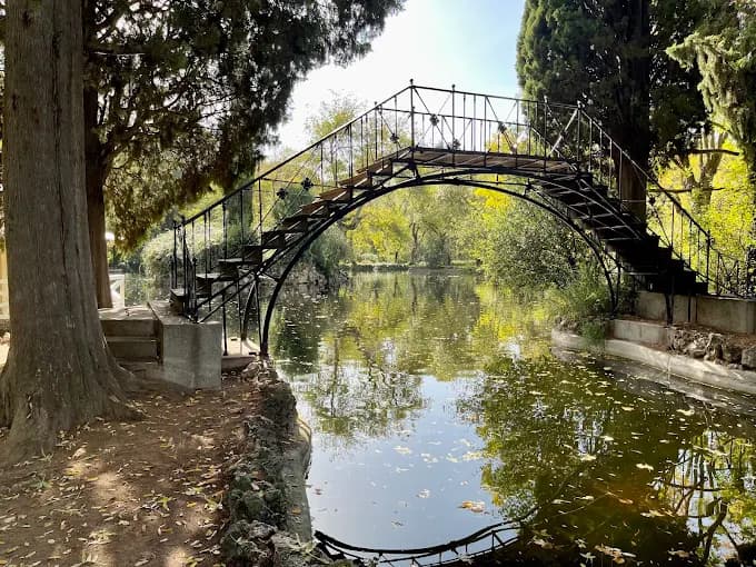 Paseo Sereno en el Parque El Capricho: Pavos Reales 2
