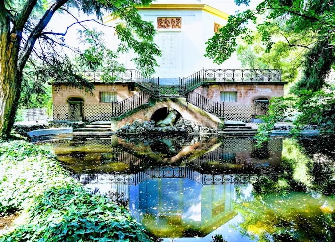 Paseo Sereno en el Parque El Capricho: Pavos Reales 5