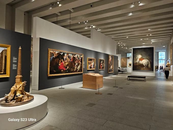 Descubre la Majestuosa Galería de las Colecciones Reales 5